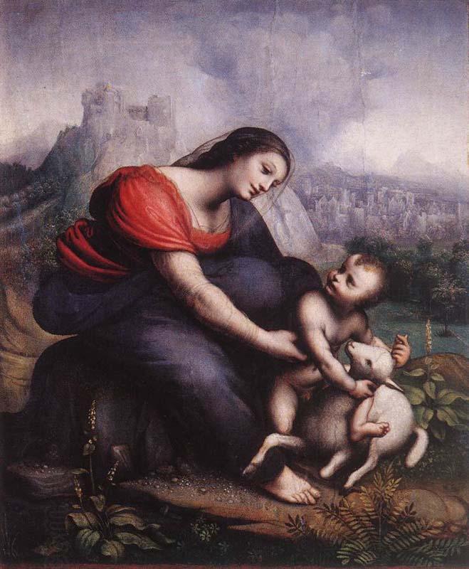 Cesare da Sesto Madonna and Child with the Lamb of God China oil painting art